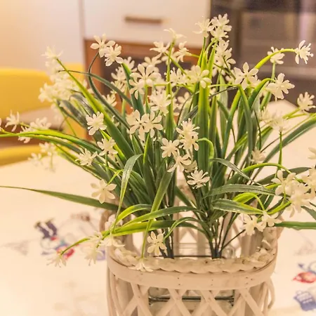 Gospodarstwo wiejskie I Due Cipressi Torrenieri