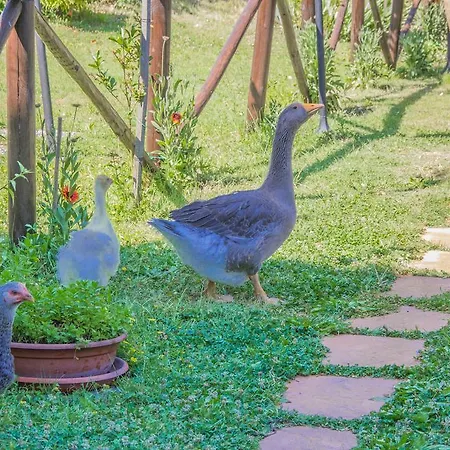 I Due Cipressi Gospodarstwo wiejskie *