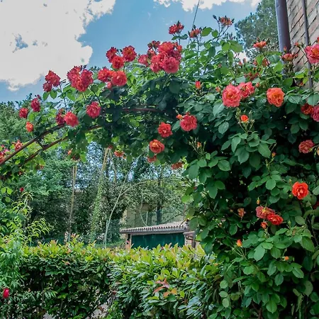 I Due Cipressi Torrenieri